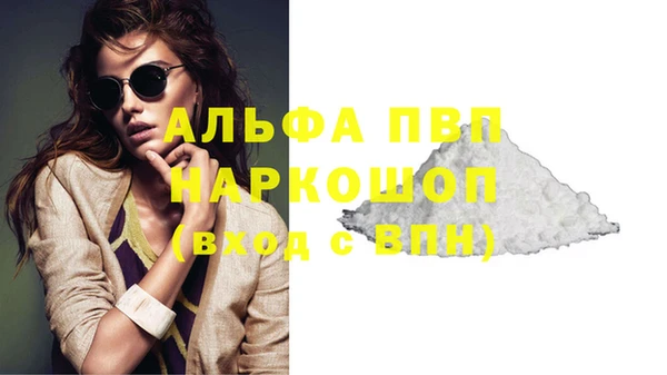 молекула духа Арсеньев