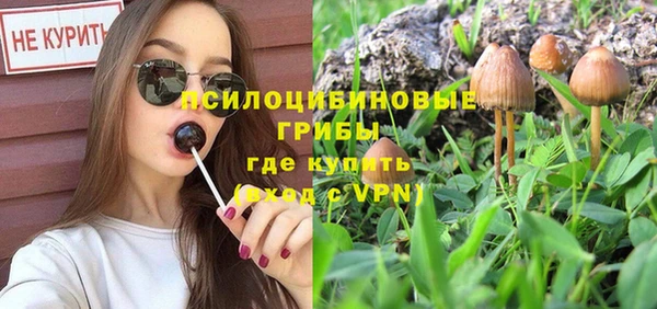 молекула духа Арсеньев