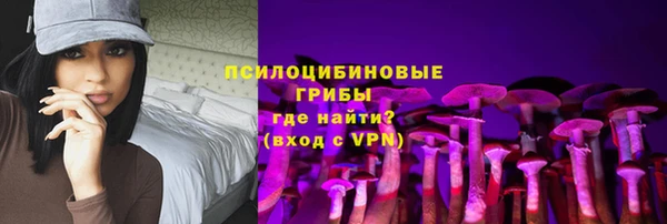 молекула духа Арсеньев