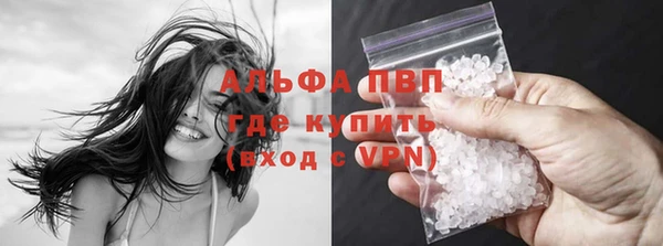 молекула духа Арсеньев