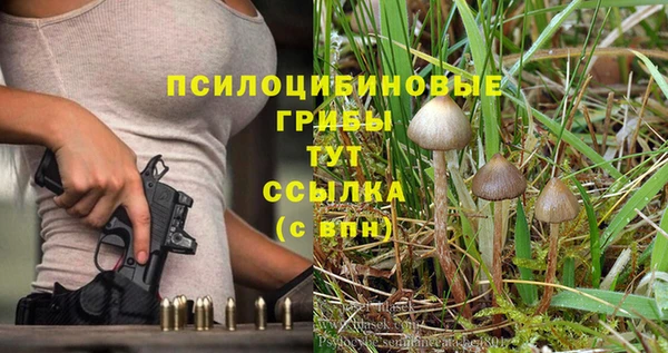амф Армянск