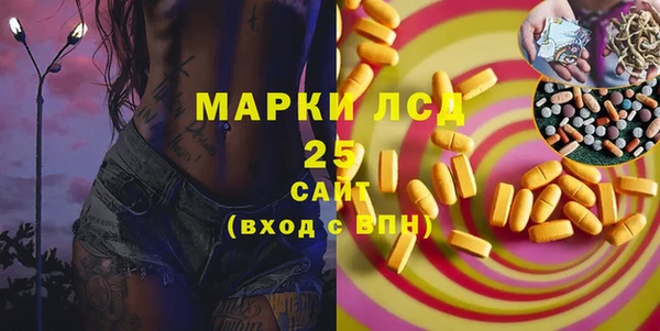 молекула духа Арсеньев