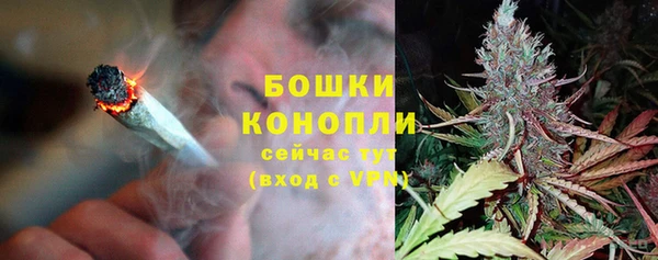 бошки Аркадак